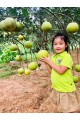Dã ngoại Khối Nai Bambi ngày 09/09